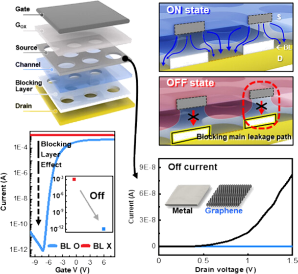 Graphical abstract