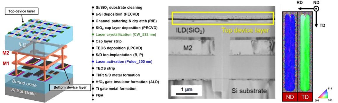 Graphical abstract